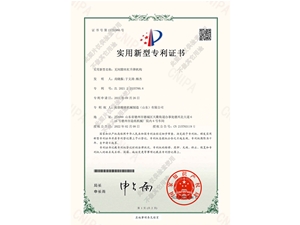 無(wú)間隙絲桿升降機(jī)構(gòu)專利證書(shū)